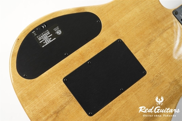 American Acoustasonic Telecaster Exotic Koa